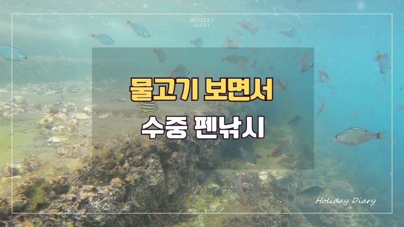 거제 구조라항 캠핑장 9월 스노클링 미니 펜낚시 후기