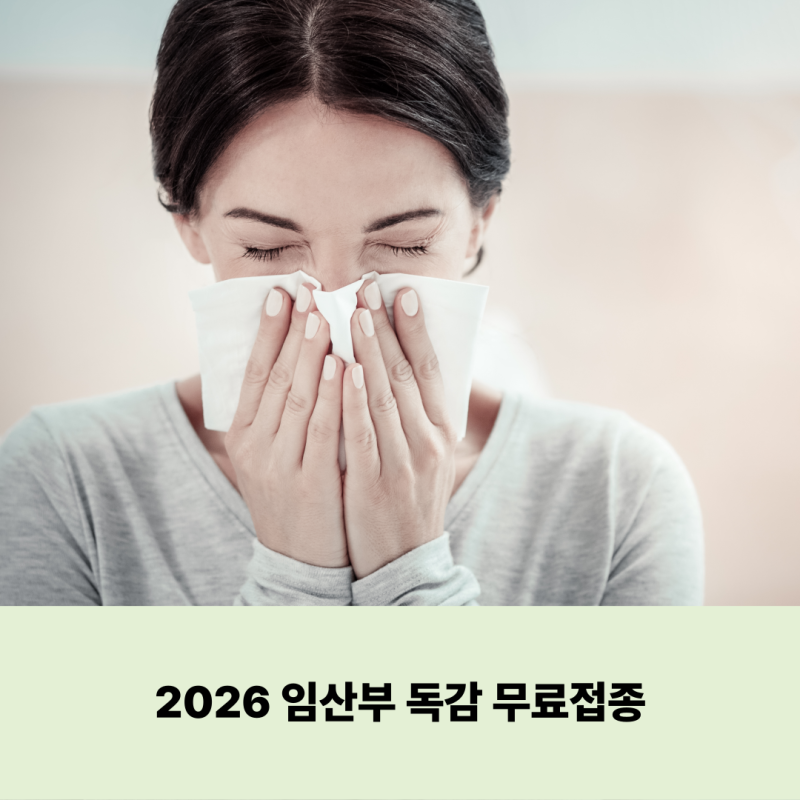 임산부 독감예방접종 어디서? 2026 독감 무료접종 대상 시기 병원 찾는 법