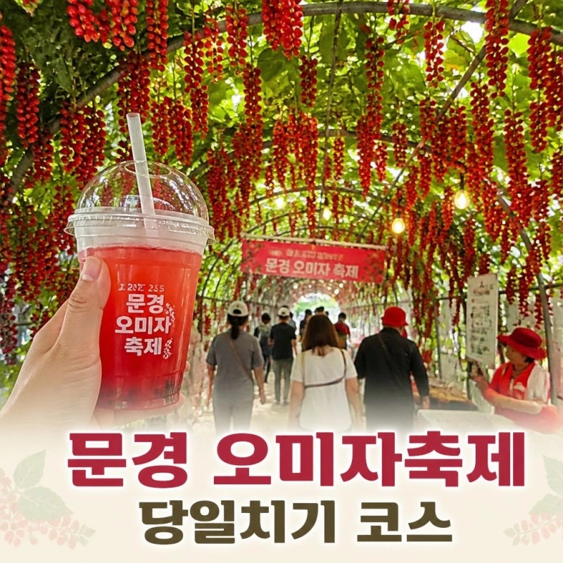 문경 오미자축제 당일치기, 문경새재부터 진남교반까지 가을나들이 코스