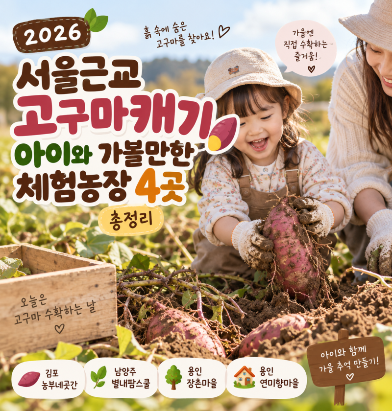 2026 고구마캐기 체험 서울근교 아이와 가볼만한 체험농장 4곳 총정리