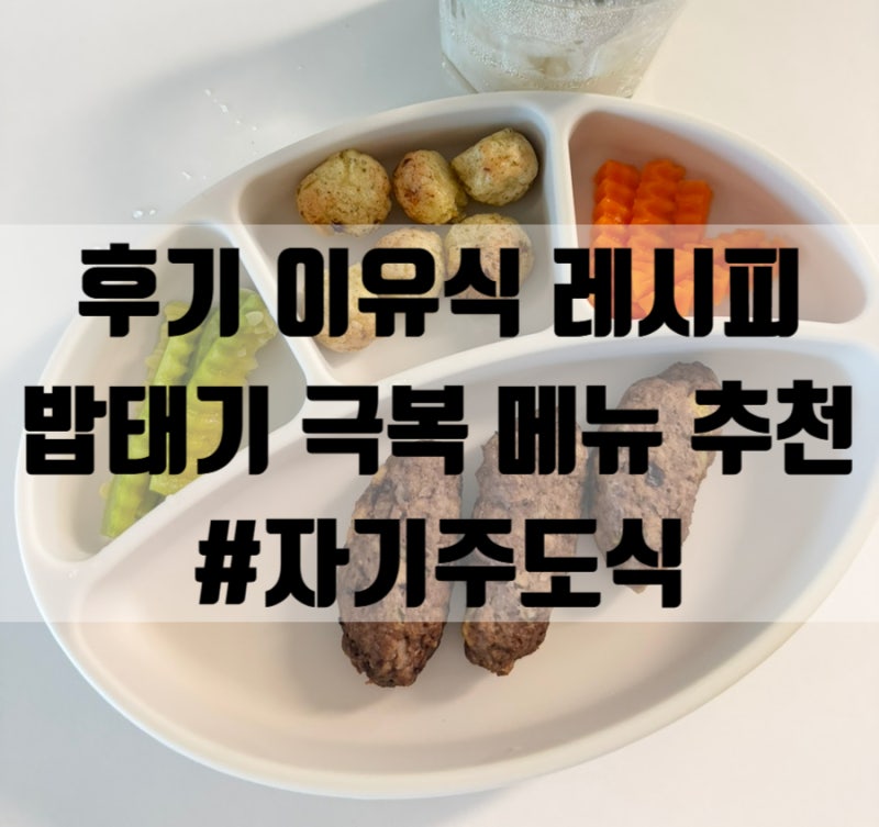 [후기이유식] 9개월 자기주도 이유식 레시피 모음 | 밥태기 극복 메뉴 추천 | 단호박스틱·아....