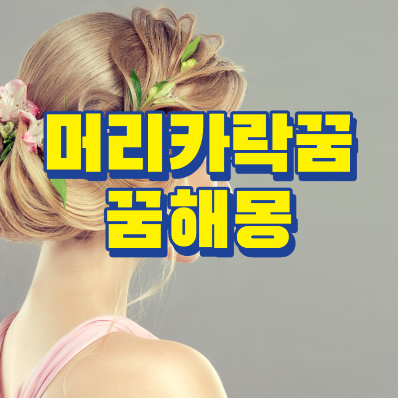 머리카락 꿈해몽 머리감는 꿈 머리카락 빠지는 꿈자르는 꿈풀이