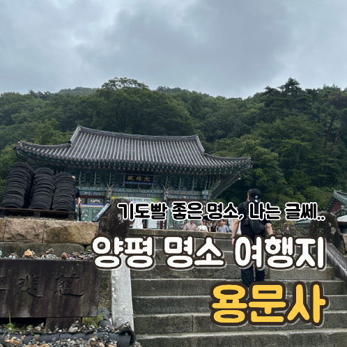 [양평 용문사] 기도빨 좋기로 유명한 애견동반 사찰 경기 나들이