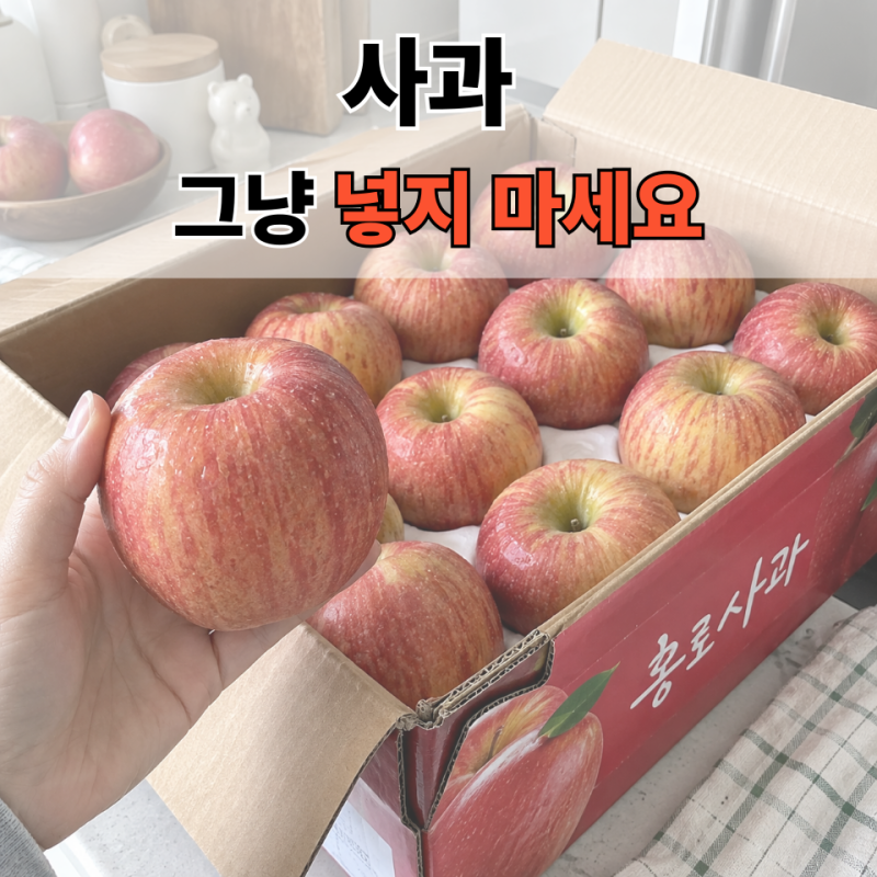 홍로사과 보관법, 오래 두고 먹으려면 이렇게 하세요