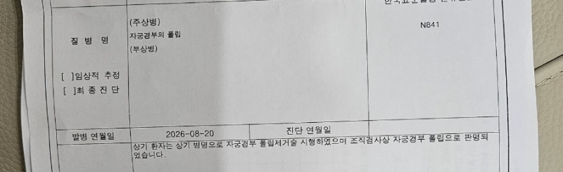 [생활팁] 용종 제거 후 수술비 받을 수 있을까?자궁경부암 검사 중 용종제거, 자궁경부용종제....