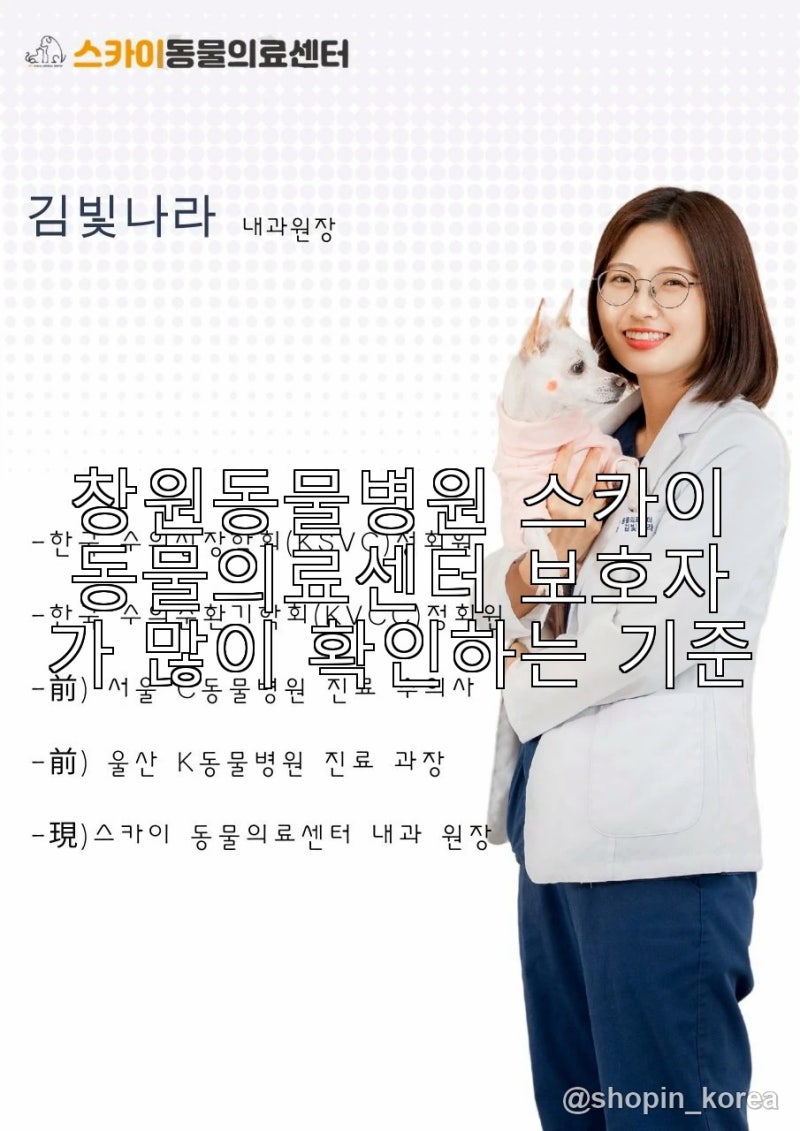 창원동물병원 스카이동물의료센터 보호자가 많이 확인하는 기준