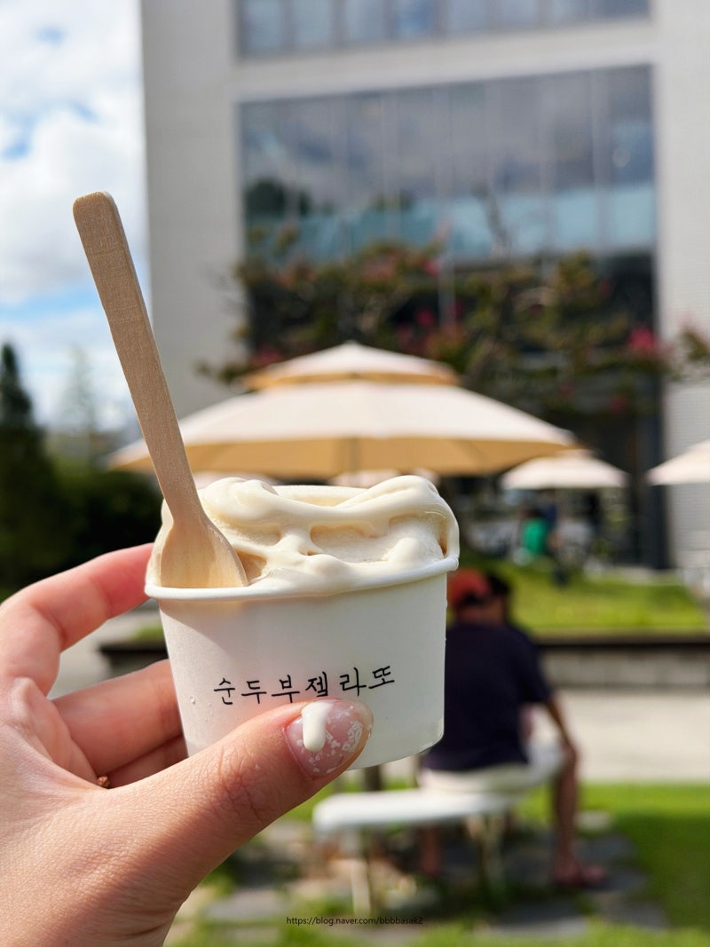 강릉 안목해변 카페 순두부젤라또 2호점, 반려견과 함께한 디저트 맛집