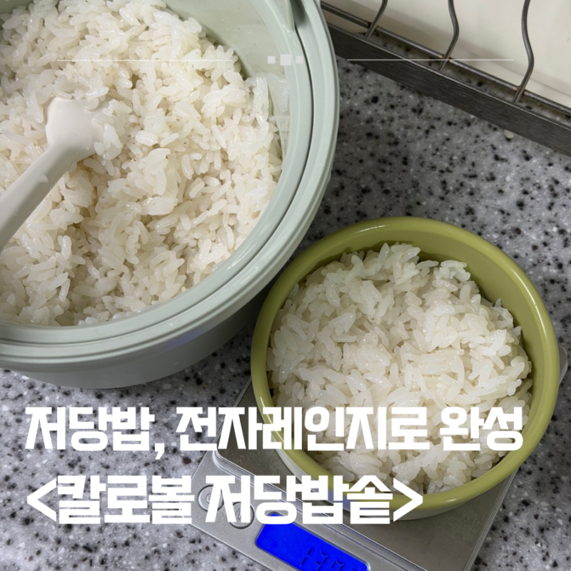 칼로볼 저당밥솥 전자레인지로 밥하기 1년 실사용 찐후기(저당밥솥 사용법)