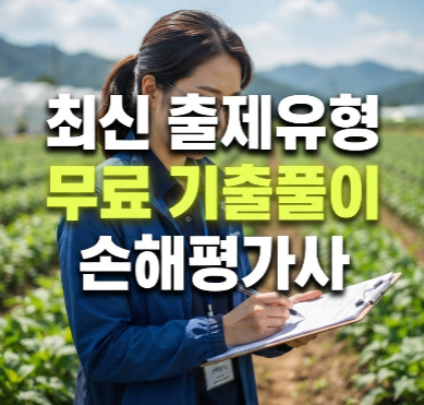 손해평가사 자격증 초보 공부순서 기출문제 교재 인강 활용방법(손평사 무료pdf)