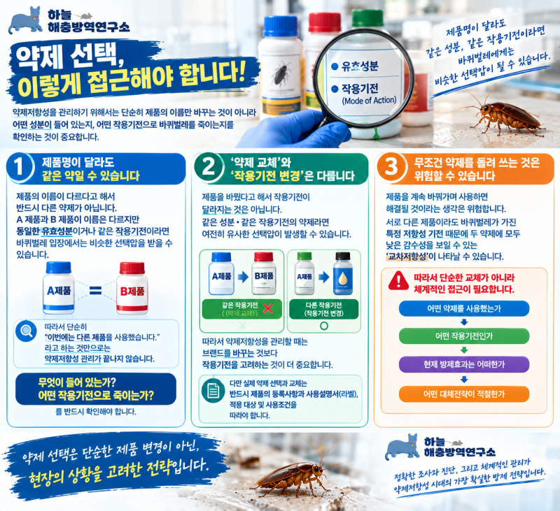 [5편] 독일바퀴벌레 약제저항성의 모든 것-약에 강한 바퀴벌레 방제방법