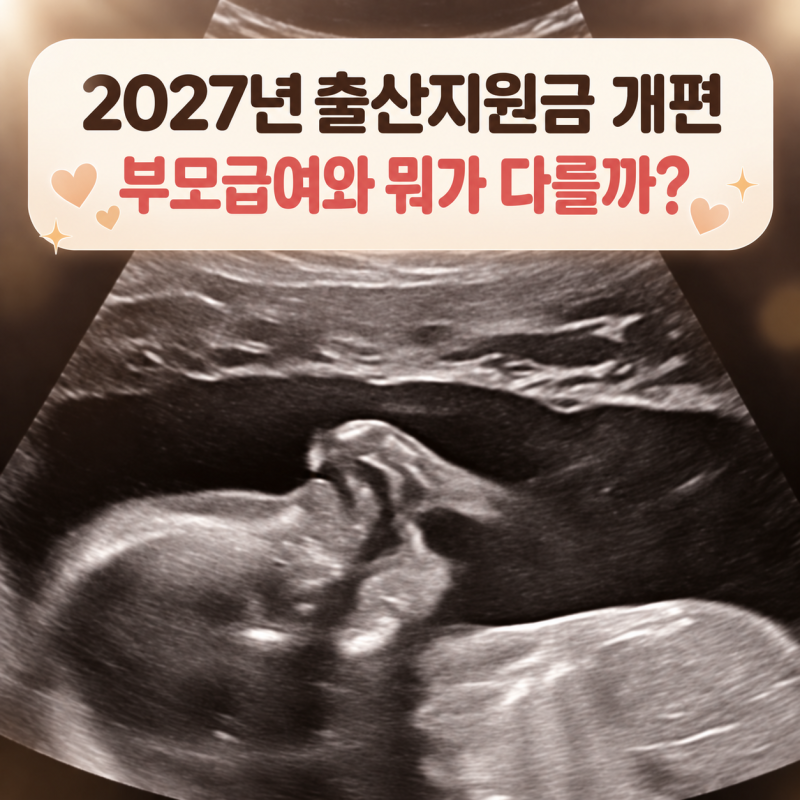 2027년 출산지원금 개편｜1월생은 해당될까? 부모급여와 비교해본 솔직한 생각