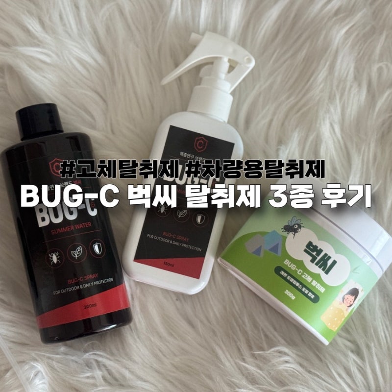 고체 탈취제 추천 벅씨 BUG-C 집 냄새부터 차량 냄새까지 사용해 본 후기