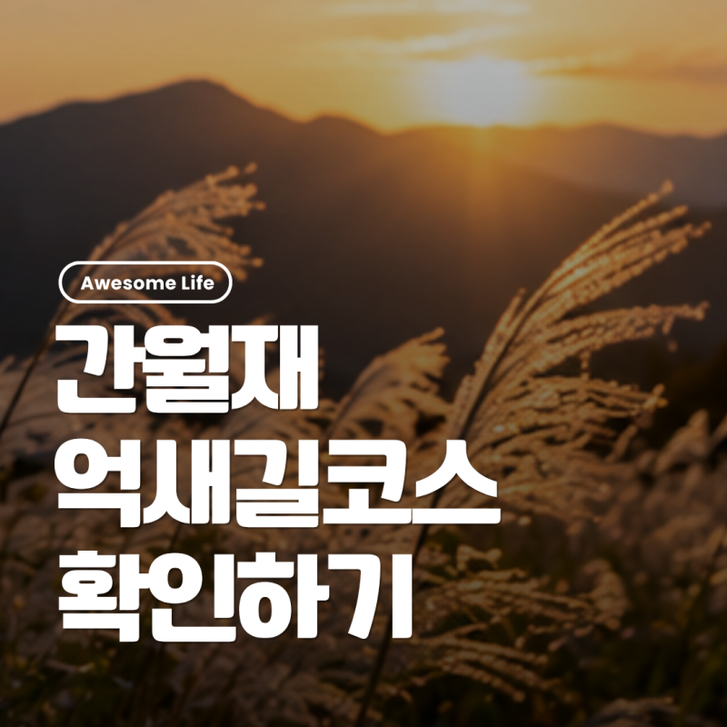 2026 간월재 억새 시기 언제가 좋을까? 개화상황과 주차장·최단코스 소요시간