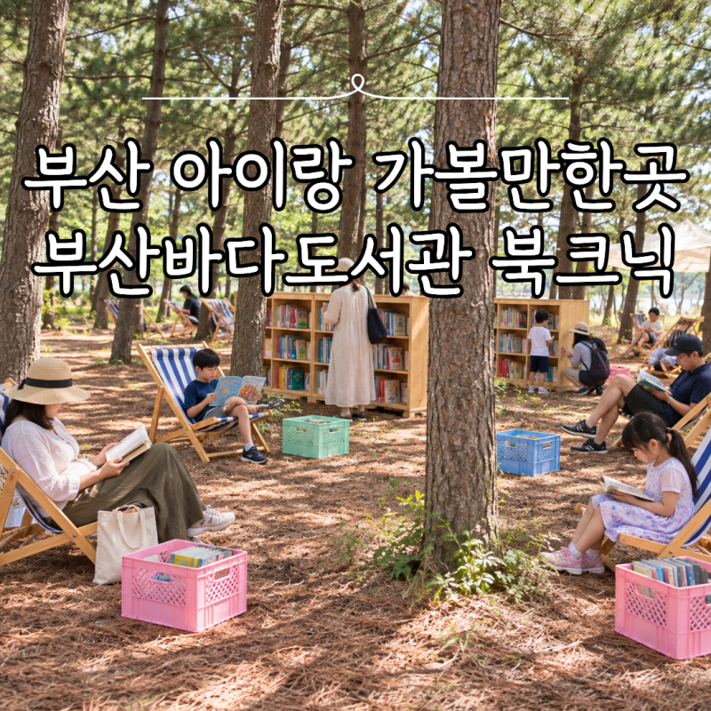 부산 주말 아이랑 가볼만한곳, 2026 부산바다도서관 다대포 체험 일정