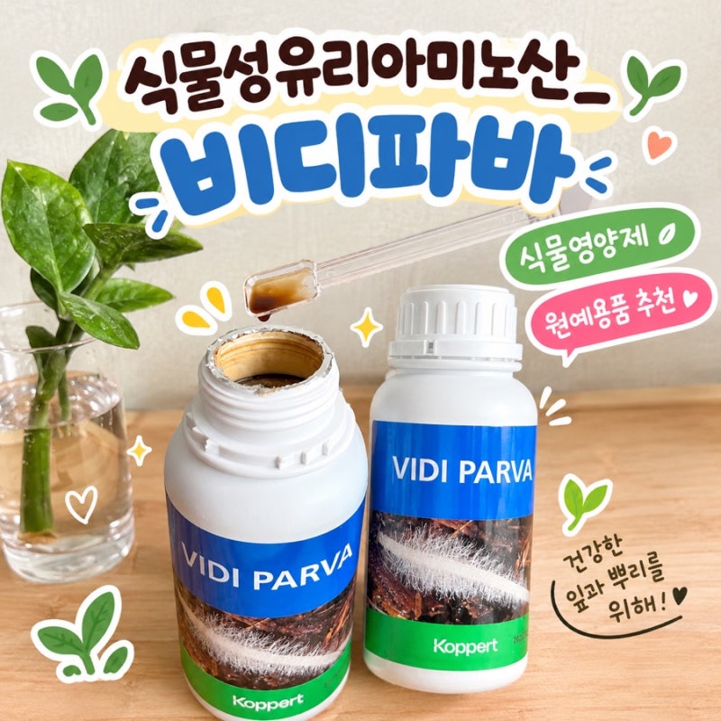 식물성유리아미노산_비디파바 식물영양제 500ml 식집사 뿌리발근제