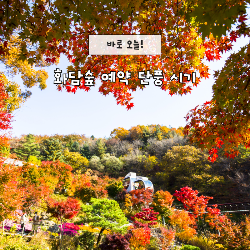 화담숲 예약 링크 단풍 시기 모노레일 취소표 뜨는 시간 총정리