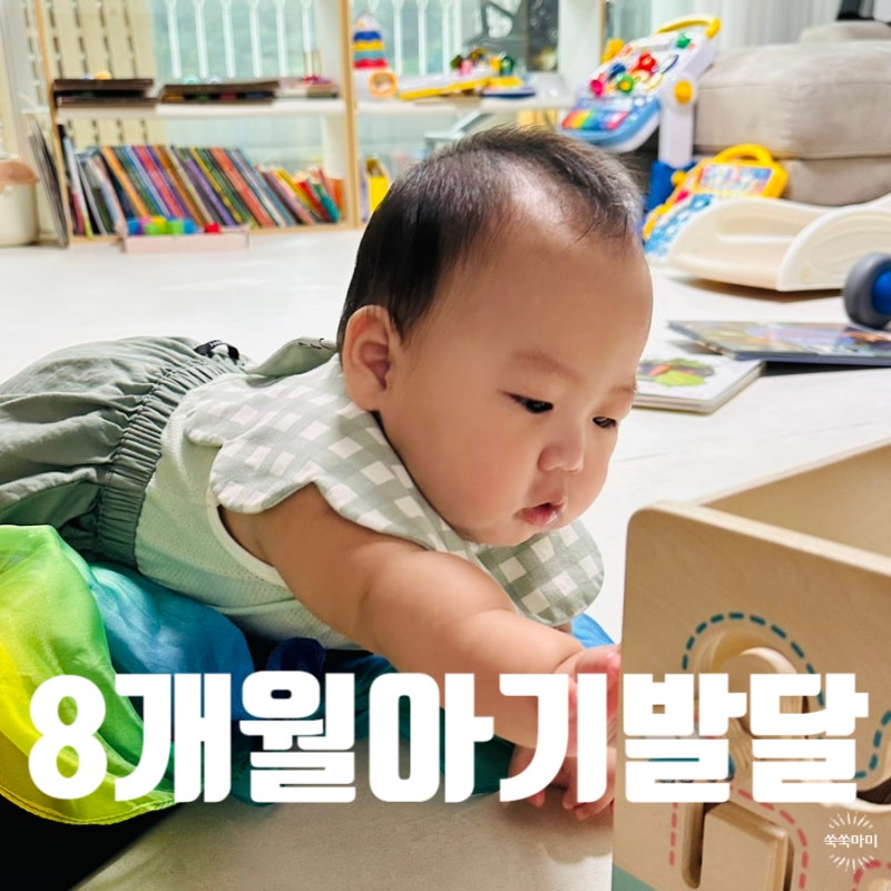 8개월 아기 발달 특징