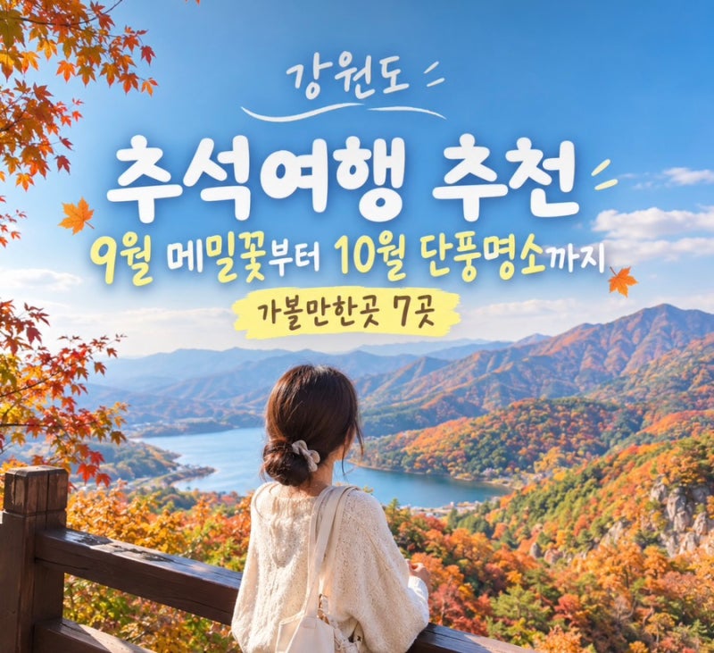 강원도 추석여행 추천, 9월 메밀꽃부터 10월 단풍명소까지 가볼만한곳 7곳