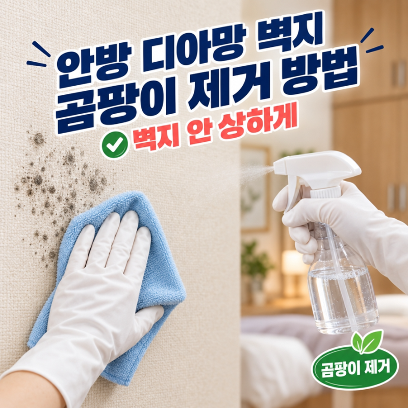안방 디아망 벽지 곰팡이 제거 방법, 벽지 안 상하게