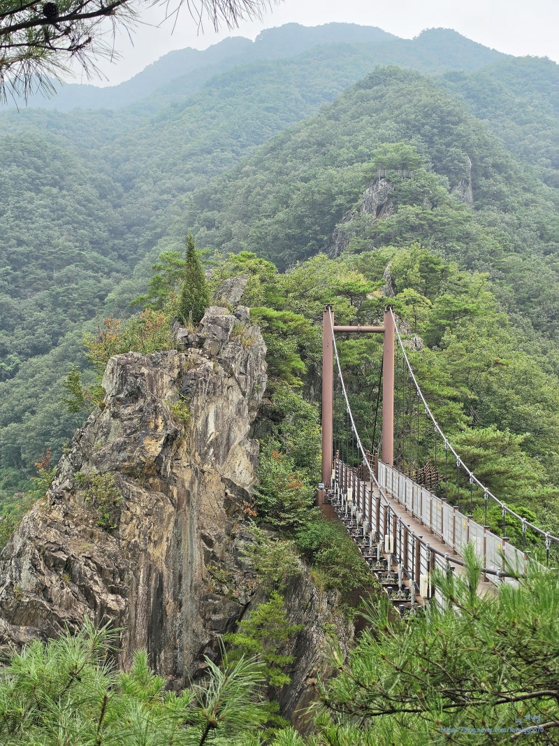 충주 가볼만한곳 차박 성지 캠핑 명소 수주팔봉 산책 좋은 탄금대