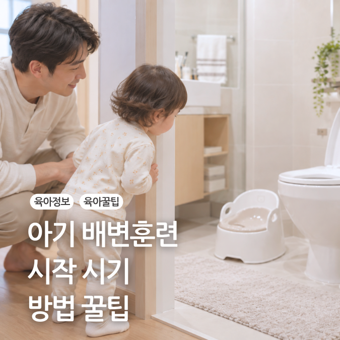 배변훈련 시작시기 아기 배변훈련 팬티 고르는 기준까지