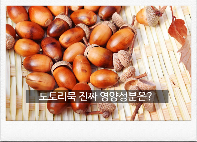 [도토리묵 효능] 가을에 맛있는 도토리묵, 몽땅 탄수화물 뿐일까?