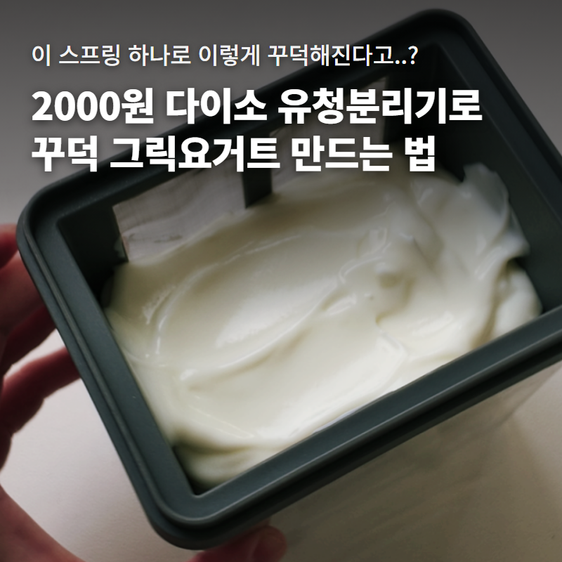 다이소 유청분리기 그릭요거트 만드는 법 4단계｜가격과 꾸덕함 조절 팁