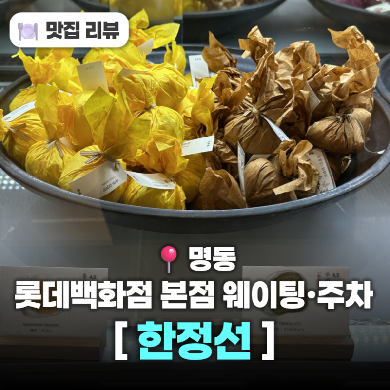 한정선 명동 롯데백화점 본점 후기 | 요거트찹쌀떡 구매시간 | 주차정보 | 웨이팅 | 총정리