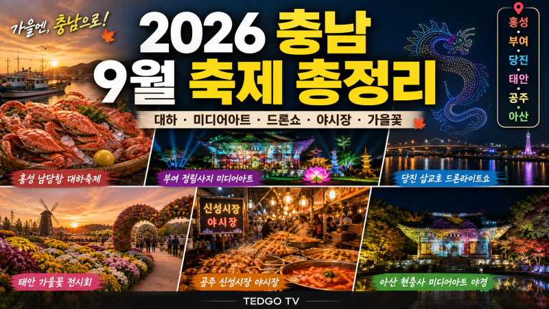 2026 충남 9월 축제 총정리｜대하·가을꽃·드론쇼·미디어아트·야시장까지