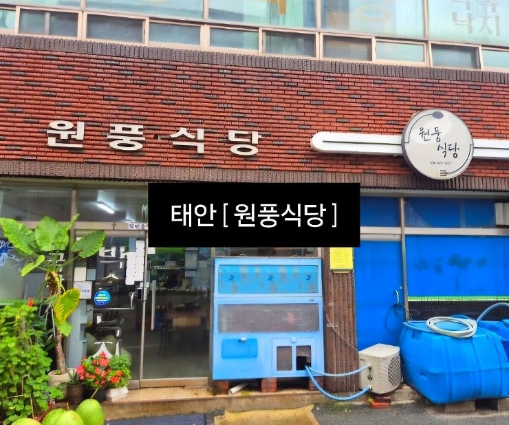 태안 낙지탕 맛집 ' 원풍식당 ' 후기