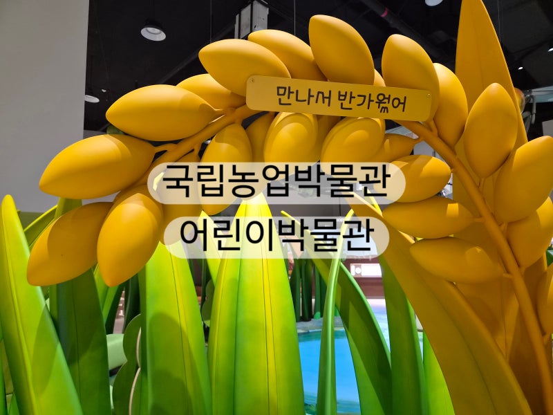 수원 주말 아이와 가볼만한곳 | 국립농업박물관 어린이박물관 매달 가는 이유 & 솔직 후기