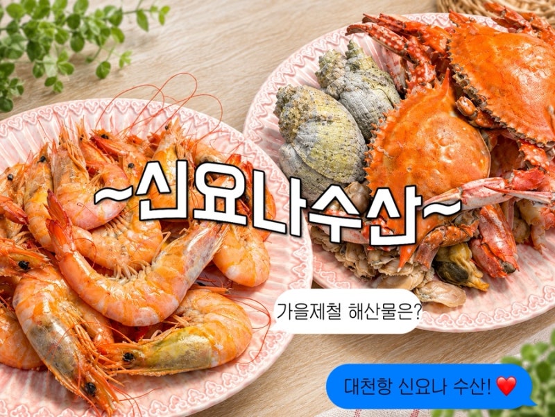 [보령]대천항 수산시장 신요나수산ㅣ가을대하와 가을꽃게 포장후기