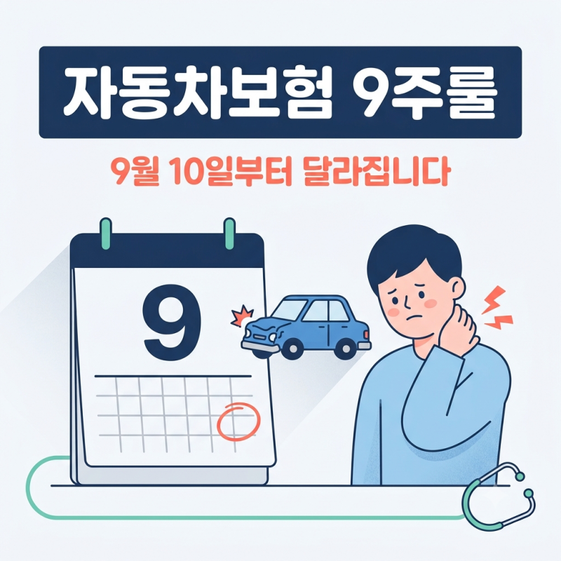 자동차보험 8주룰 뭐길래? 9월 10일부터 달라진 교통사고 치료 기준