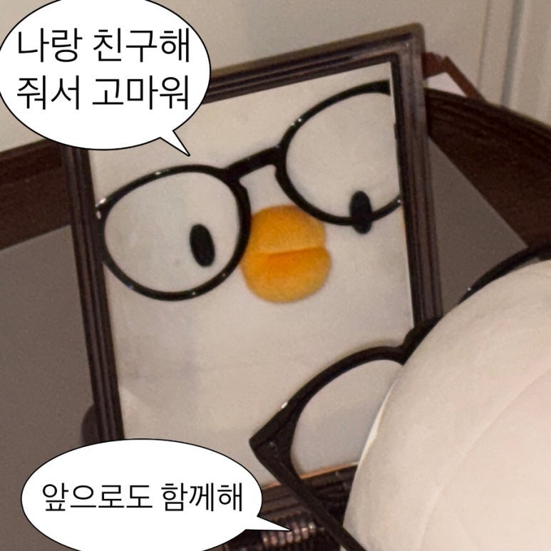 혼인 신고를 하다! (+카카오페이 증권과 대전시가 주는 축의금 받기)