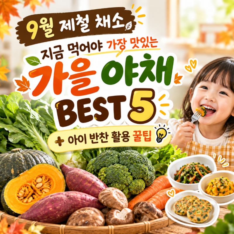 9월 제철 채소 지금 먹어야 가장 맛있는 가을 야채 BEST 5 & 아이 반찬 활용 꿀팁