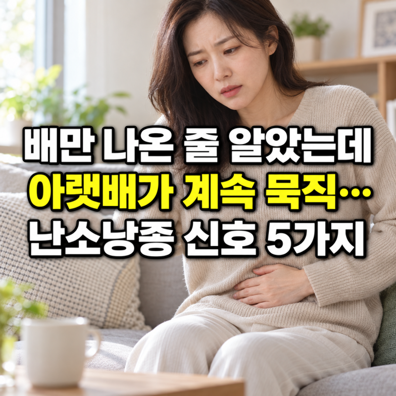 “배만 나온 줄 알았는데 아랫배가 계속 묵직…” 생리통과 헷갈리기 쉬운 난소낭종 신호 5....