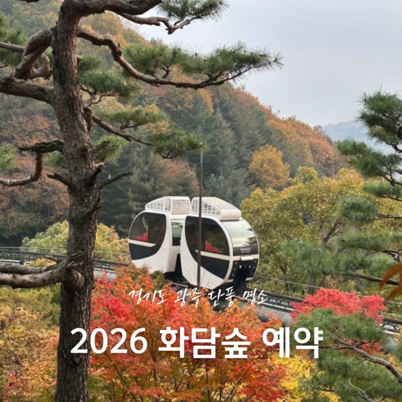 2026 곤지암 화담숲 단풍시기 예약 일정 오픈 취소표 팁 모노레일 예약하기 nol티켓