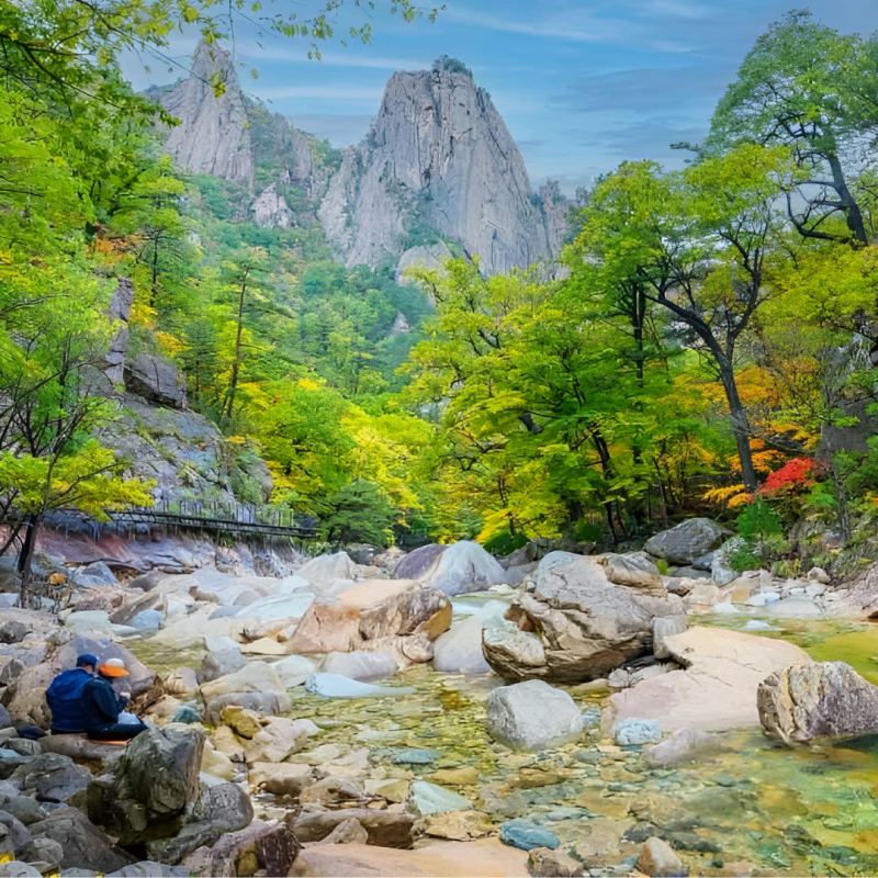 “설악산이 물들 때 내장산은 아직” 2026 전국 단풍시기, 지역마다 이렇게 달라요