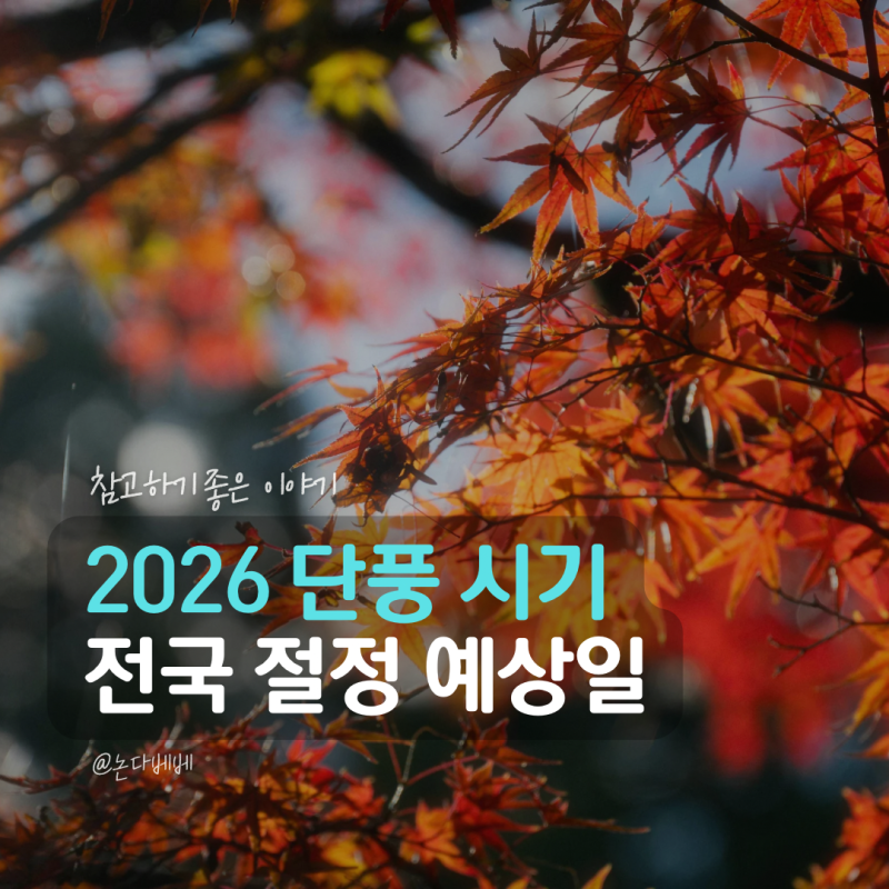 2026 단풍 시기 언제? 전국 첫 단풍 절정 예상일 설악산 내장산까지