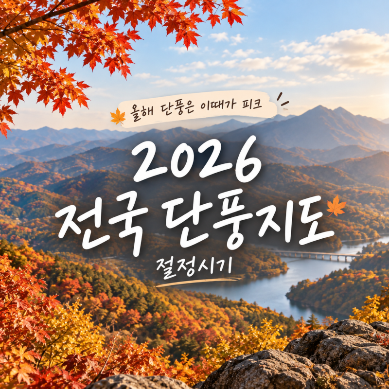 "올해 단풍은 이때가 피크" 2026 전국 단풍지도 및 절정시기