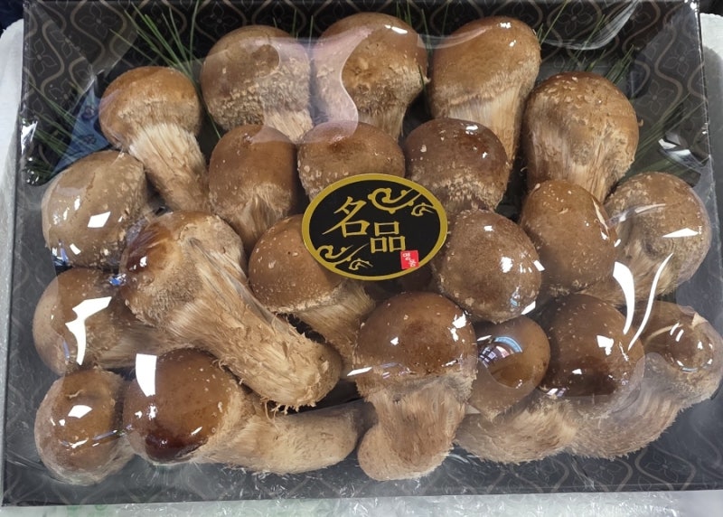 향긋하고 고소함 가득 생으로 먹어도 맛있는 참송이버섯