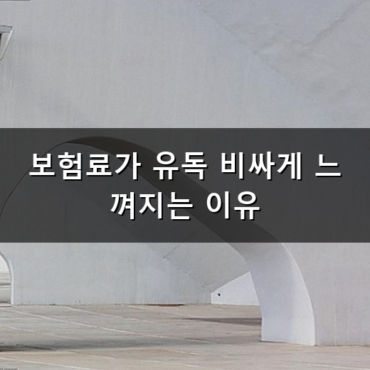 오토바이 보험료 매번 이렇게 부담스러울까? 내게 맞는 보험 가입 요령