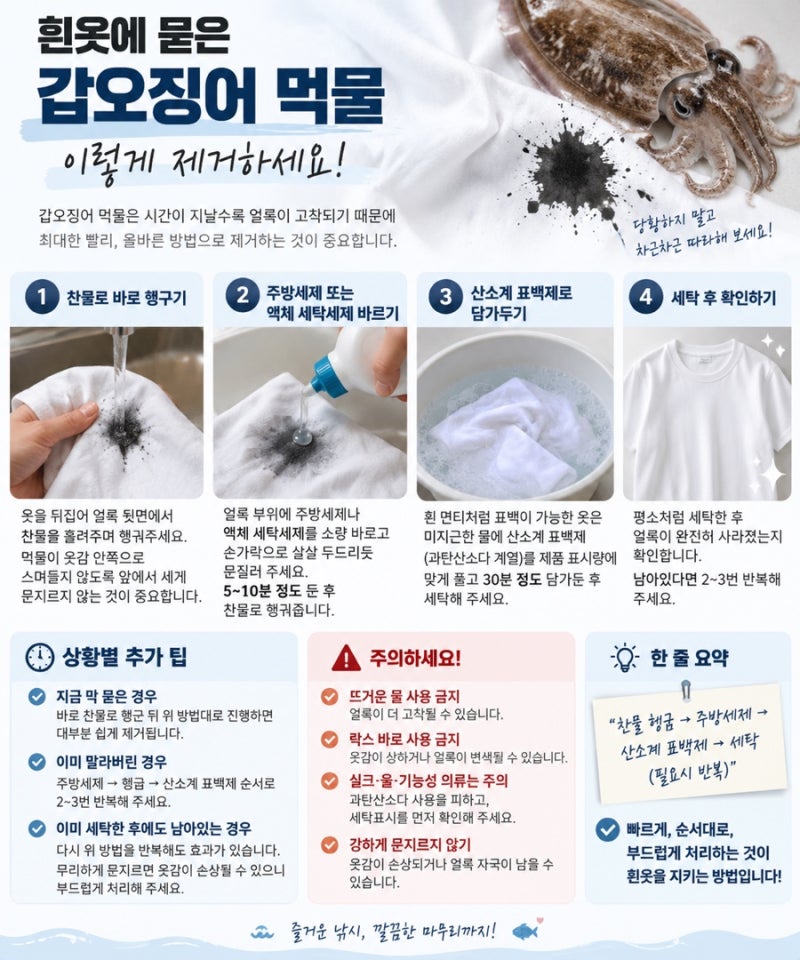 모르면 옷 버리는 갑오징어 먹물 빼기 완벽 가이드