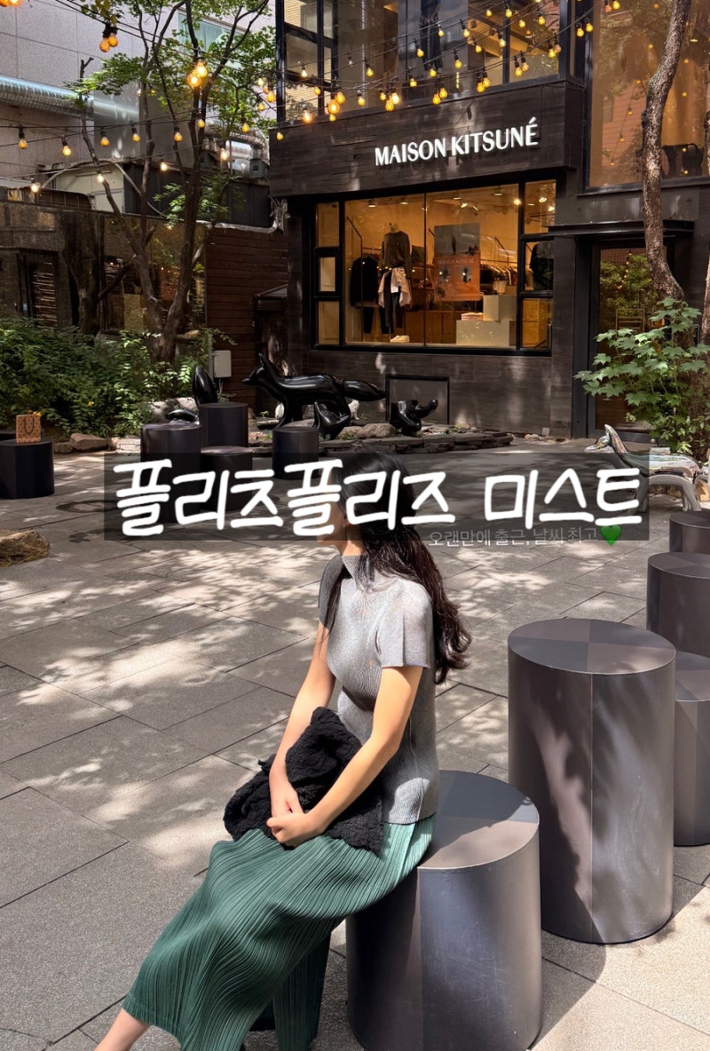 플리츠플리즈 미스트 그레이 3 사이즈, 코디, 세탁/ 9월 삿포로 득템 가격