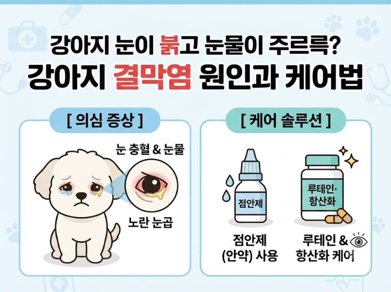 강아지 눈이 유독 붉고 눈물이 흐르거나 노란 눈곱이 낀다면? 강아지 결막염 원인과 점안제 ....