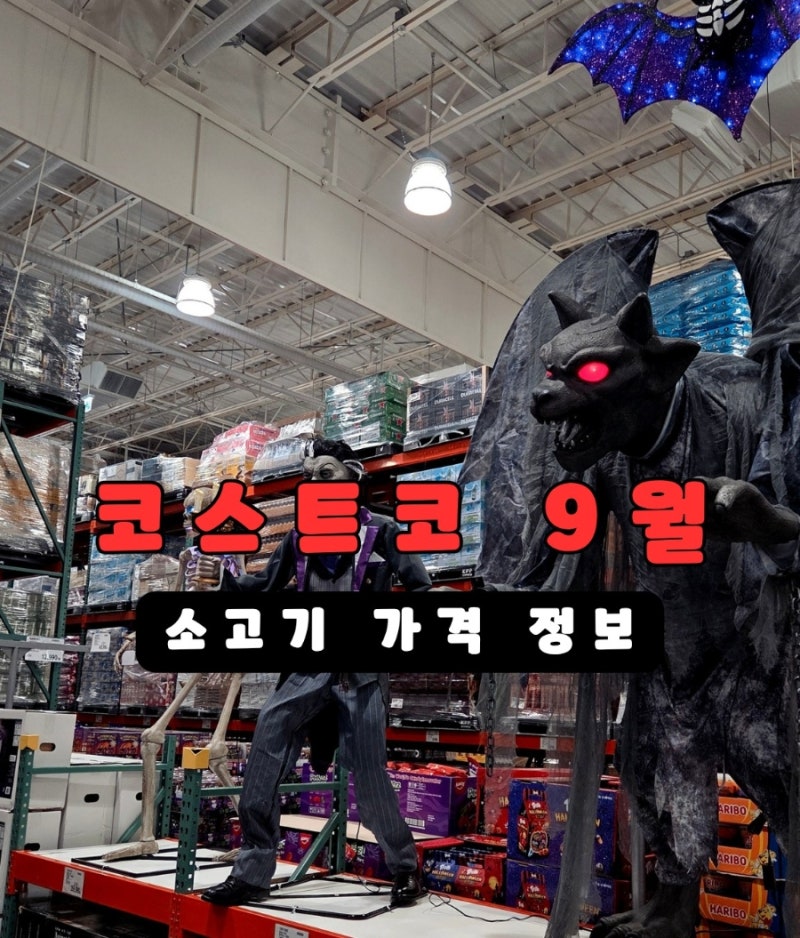 9월 코스트코 대구혁신점 소고기 한우 미국산 가격 최신