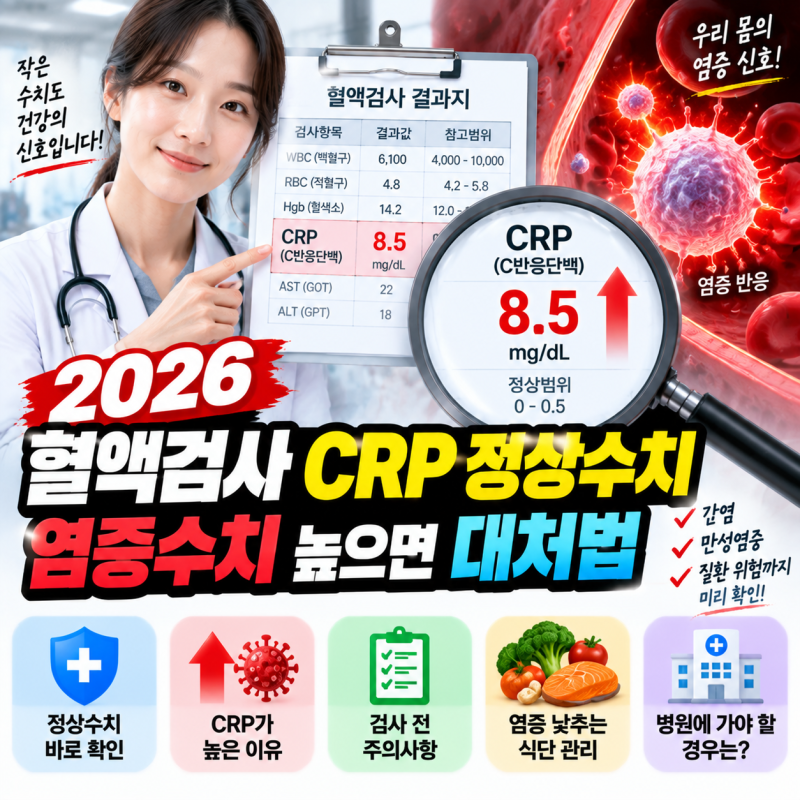 2026 피검사 CRP 정상수치 완벽 정리: 염증수치 높을 때 대처법