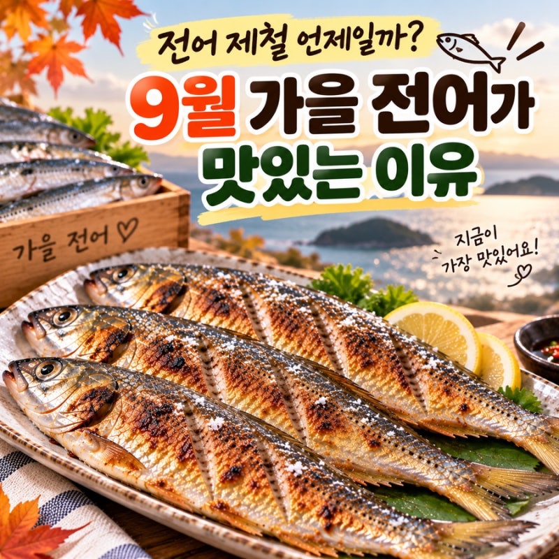 전어 제철 언제일까? 9월 가을 전어가 맛있는 이유