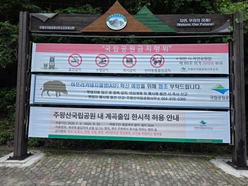 주왕산국립공원 절골계곡