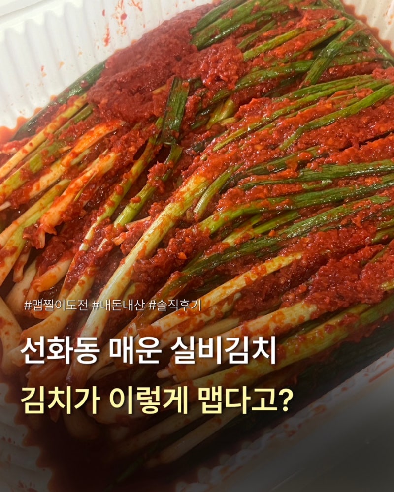 대전 선화동 매운 실비김치 어느정도 매울까? 내돈내산 솔직후기